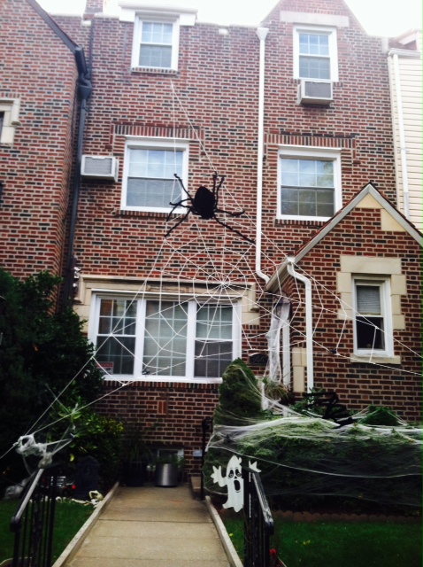 ... and there was a giant spider web on our block! 